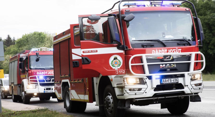 Lángra kapott a száraz aljnövényzet, tűzoltók érkeztek a helyszínre