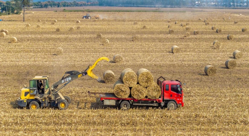 Erre oda kell figyelni: brutális, ami a magyar földdel történik, egyetlen év alatt összeomlott az ára – a gazdák elkezdték eladni az agráróriásoknak