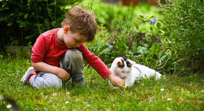 Bakancsos óvodások: 4 évesekkel túráznak a Kelet-Mecsekben