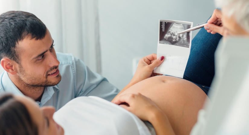 Petesejt-adományozás: újra nekifutnak az engedélyezésnek, évek óta várnak erre a meddő párok