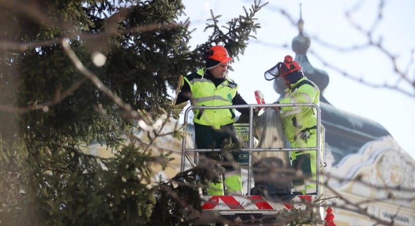 Még a nyarat idézi a napsütés, de már keresik a mindenki karácsonyfáját Pécsen