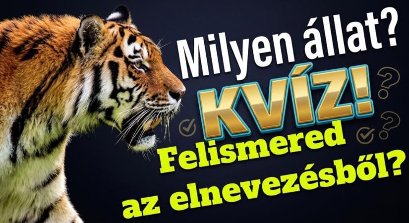 Állatos kvíz: Rájössz, melyik név mögött milyen állat rejtőzik? Sikerül mind a 10?