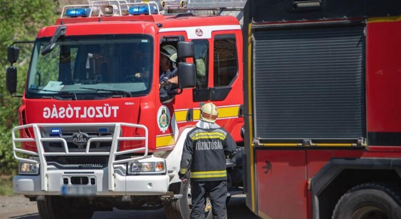 Két hektáron pusztít a tűz Eger külterületén: már az erdő is lángra kapott – részletek!