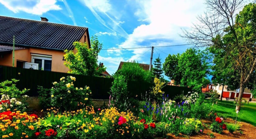 Megvannak az ország legszebb kertjei: megható történeteket is díjazott a Greenman