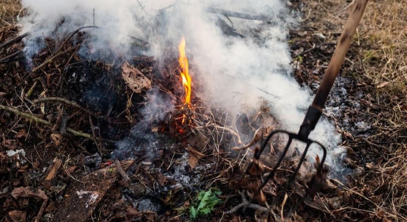 Súlyos ára lehet az őszi avarégetésnek – bírság is járhat a szabályszegésért
