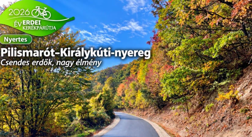 A pilismaróti útvonal lett az Év Erdei Kerékpárútja!