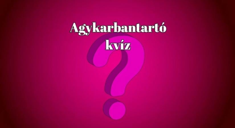 Észforgató - A napi dózisod agykarbantartó kvízből megérkezett