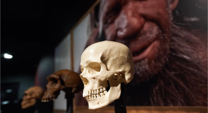 Hat másik emberfajjal éltünk együtt a Földön, de miért csak a Homo sapiens maradt életben?