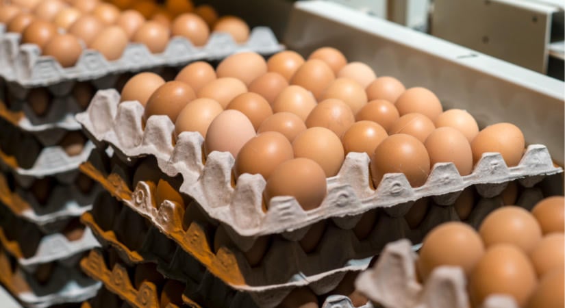 Búcsút inthetünk a megszokott tojásnak? Durva, mi készül a háttérben