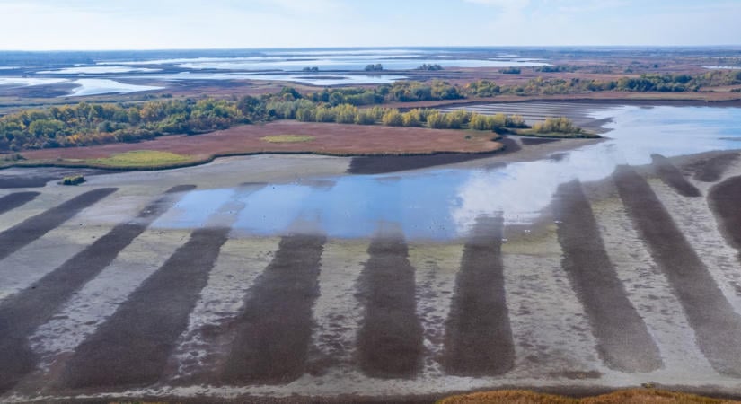 Szinte rá sem lehet ismerni a Tisza-tóra, brutális nyomokat hagyott az aszály - drámai fotók