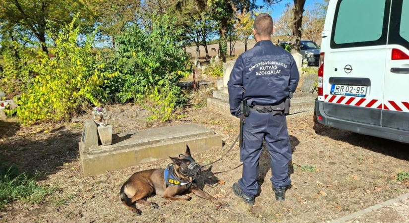 Meglepő segítség a tordasi temetőben: munkába álltak a fogvatartottak