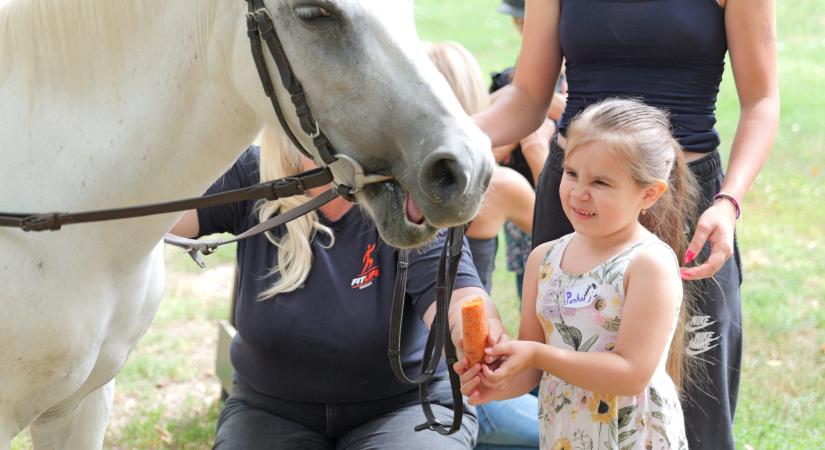 Állati jól telik a hét a vásárhelyi mesetáborban