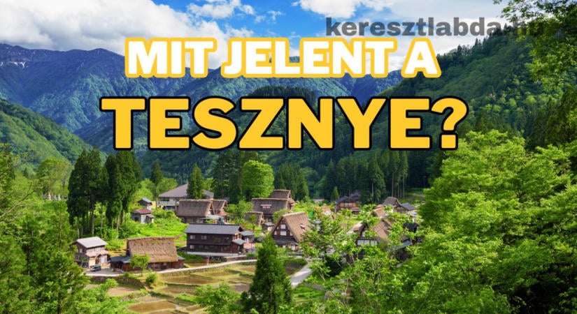 Tájszólás feladat: Ismered ezt a régi, csípős tájszót?