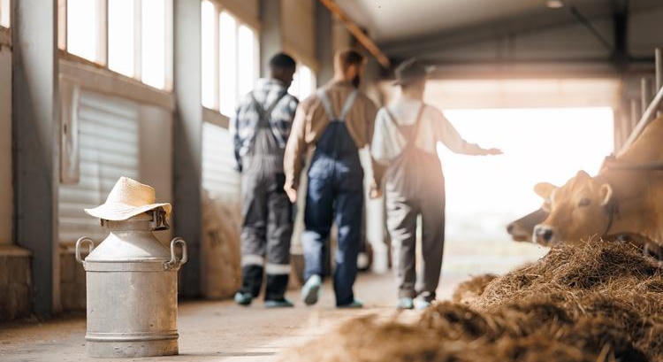 Akár 2,8 milliárd forint egyetlen szervezetnek: hamarabb érkeznek az agrártámogatások