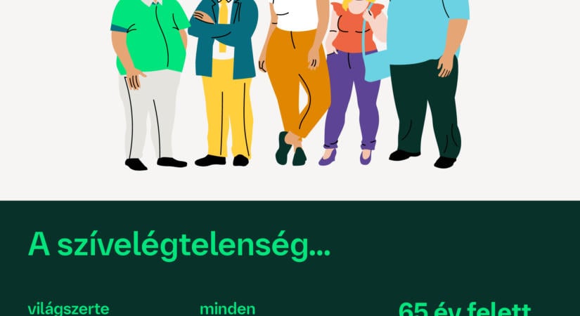 A szívelégtelenség Magyarországon mintegy 240 ezer embert érint¹- egy betegség, amely társbetegségekkel járhat együtt