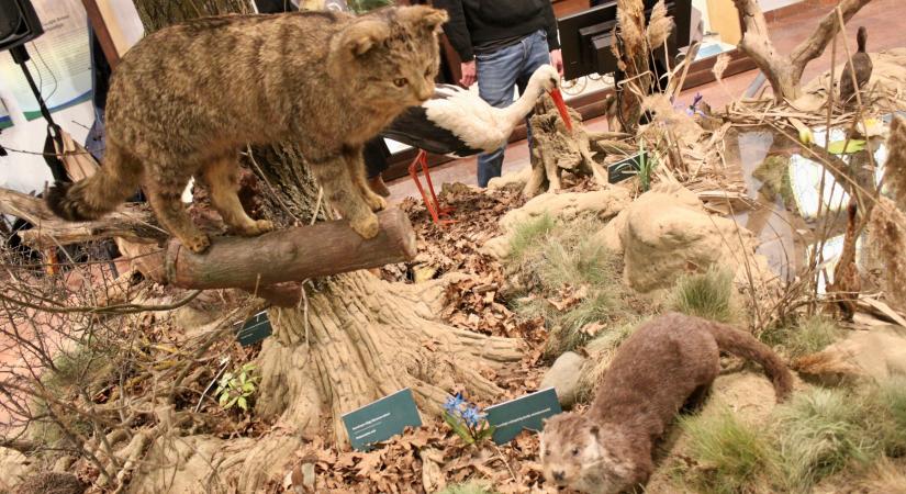 Folyók ölelésében – A Duna-Dráva Nemzeti Parkról nyílt kiállítás