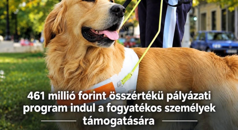 Több mint 460 millió forintos pályázatot írnak ki a fogyatékossággal élők támogatására