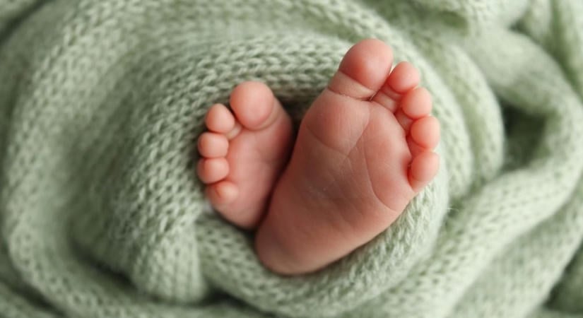 Hat pici baba született hétfőn Győrben, így hívják őket