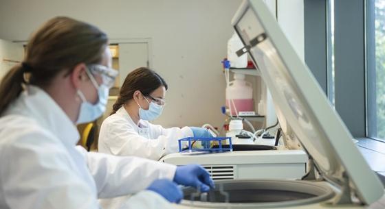 A Pfizer-főnök kiragadott szavai jól mutatják, milyen könnyen terjedhetnek az oltásokról szóló álhírek