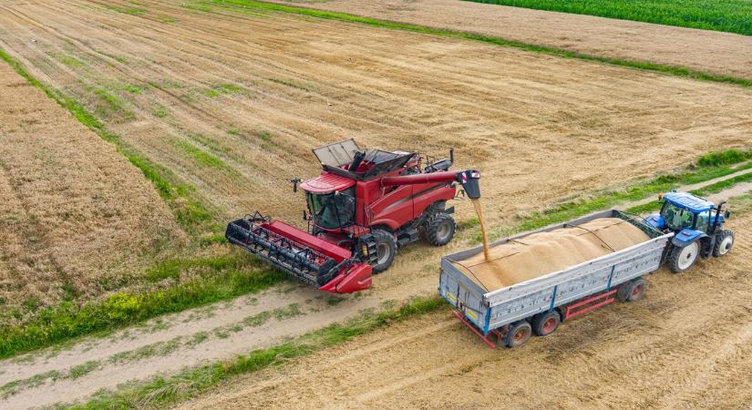 Óriási robbanást okozhat az élelmiszerárakban a „szuper” El Niño, 2028-ig érezhetőek lehetnek a hatásai