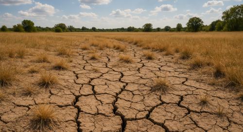 Agrárium: vissza nem térítendő támogatást lehet igényelni, 10,8 millió eurót osztanak szét