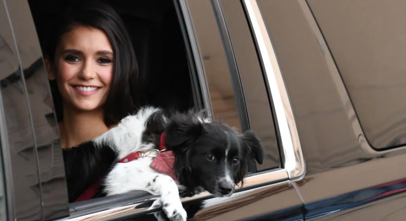 Nina Dobrev elárulta, kinek köszönheti az életét: „Ő ugyanannyira megmentett engem, mint amennyire én őt”