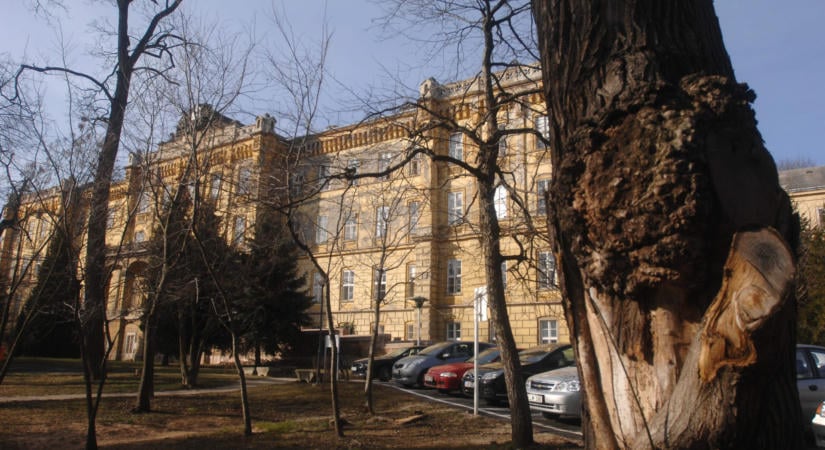 Váratlan javaslat: az elhagyatott elmegyógyintézet lehetne Józsefváros alternatívája a Pázmány kampuszának