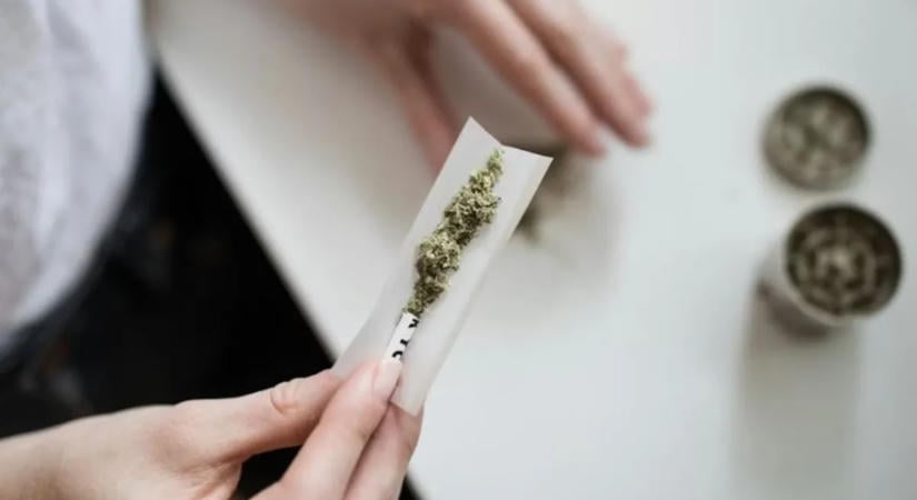 Meglepő eredmény a kannabiszról: több lehet a mellékhatása, mint gondolták