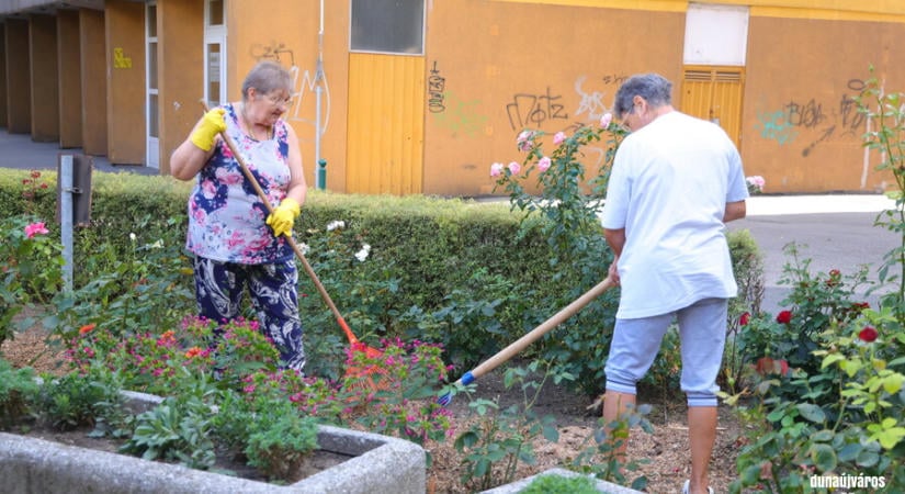 Közös munkával szépül a Béke városrész