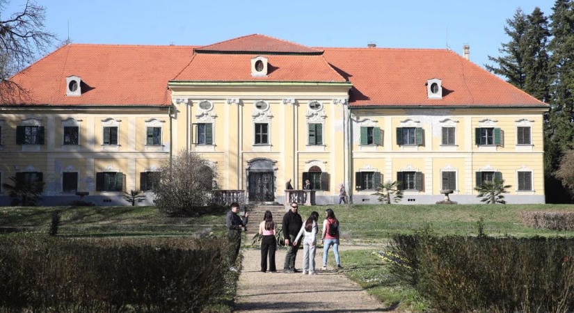 Gyönyörű parkban emészti el az idő a sellyei kastélyt – évek óta romlik a sokat megélt épület állapota
