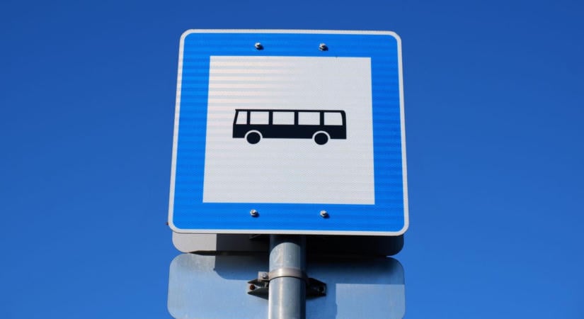 Újabb állatmentés Szegeden: betakarva, súlyos sérülésekkel feküdt egy kiskutya a buszmegállóban, most minden perc számít – fotóval