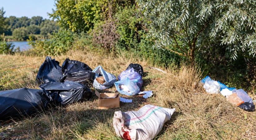 Drága volt a szemetelés: 45 ezer lejre bírságoltak egy férfit