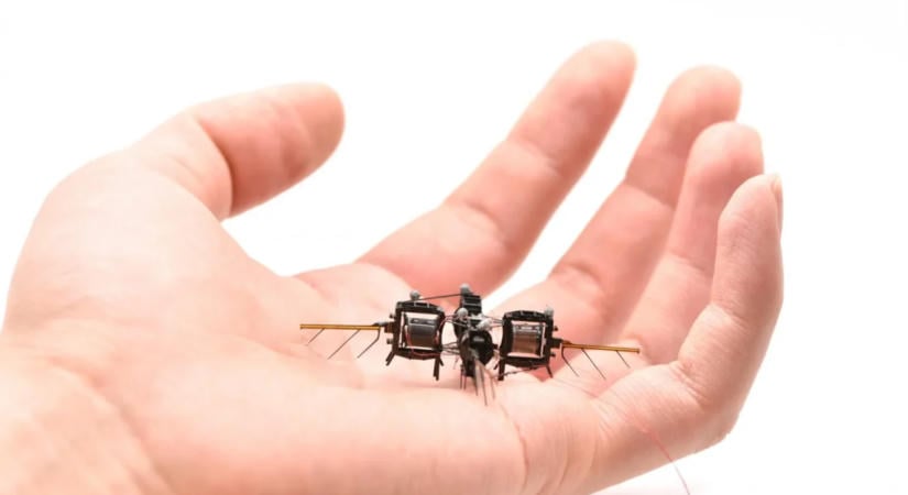 Lenyűgöző sebességre és agilitásra képes az MIT új, rovarszerű robotja