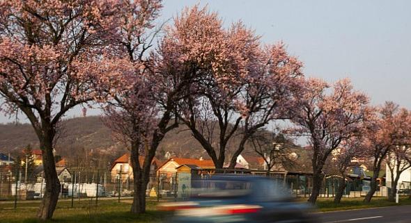 Itt a friss meteorológiai előrejelzés csütörtökre - Figyelmeztetést is kiadtak