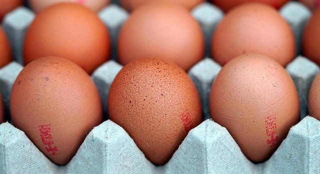 Madárinfluenza miatt szűkülhet a tojáskínálat a régióban
