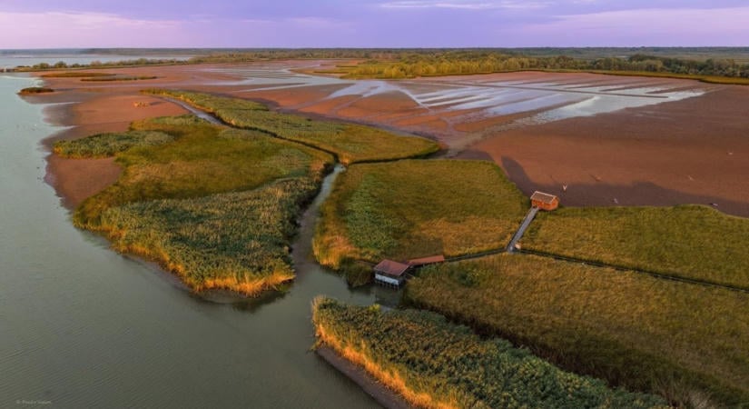 Valami nagy dolog készül a Tisza-tónál, már látszanak az első jelek