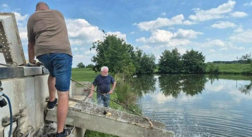 Célba értek a pontyok