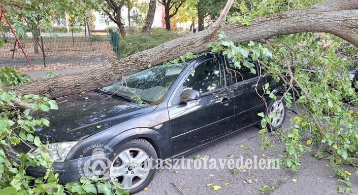 Hatalmas faág zuhant két parkoló autóra Szolnokon