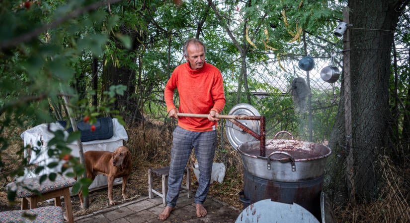 Szilvalekvár, békahullák és a Nagy magyar szar – egy szentesi biokertész szürreális harca a magyar vidékért