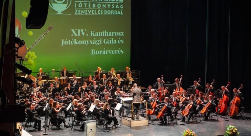 Pintér Bence: A jótékonyság fontos, de nem pótolja a társadalmi igazságosságot