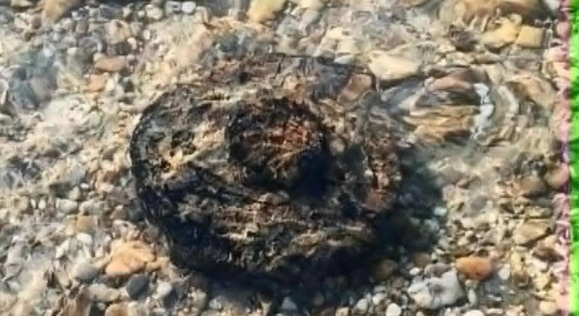 Rendőröket riasztottak a Duna-partra, robbanótestet találtak Neszmélynél