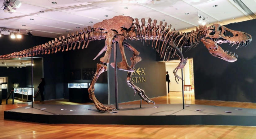 Rekordáron kelt el egy T. rex: ennyit fizettek a 67 millió éves csontvázért
