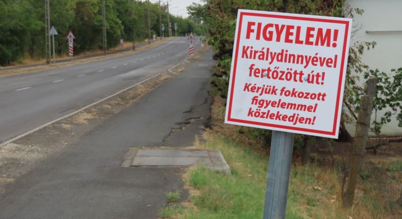 Vásárhelyen már alig győzik a bicikliszerelők a királydinnyés defektek javítását