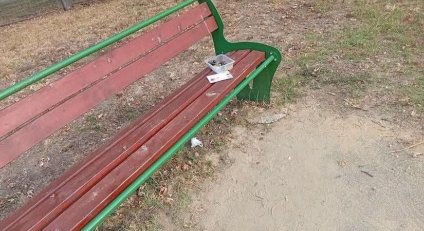Szívszorító, ami a kaposvári játszótéren történt – összetört a kaposvári önkéntes