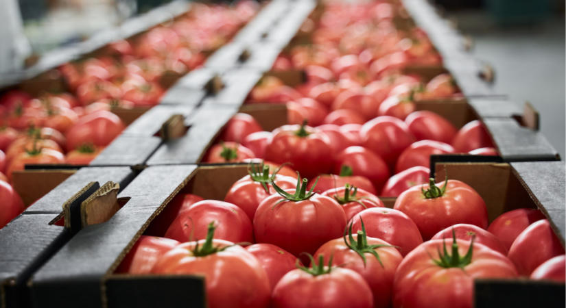 Vége a megszokásoknak: ez a technológia forradalmasíthatja az élelmiszeripart