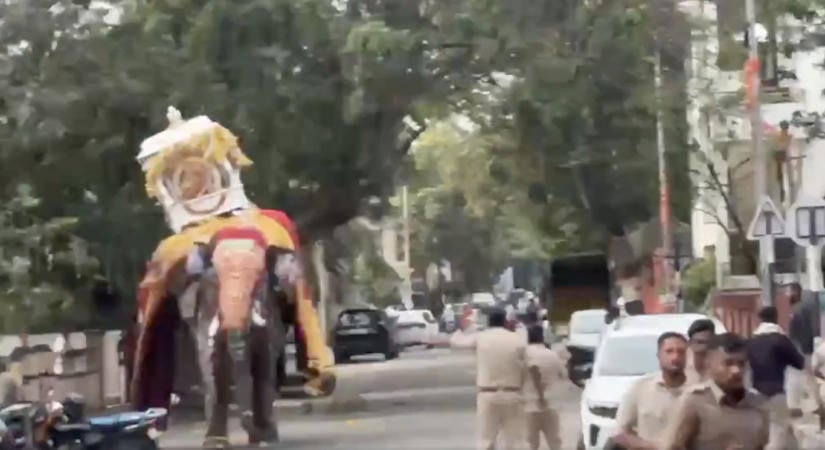 Megvadult elefánt kergette szét a hindu vallási felvonulást, az ájtatos hívek biztos, ami biztos ellopták az istennő arany karkötőit