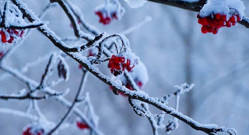 Hol bukkanhatnak fel a NAV revizorai december elején?