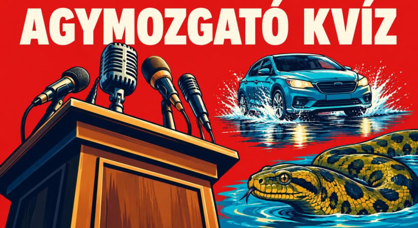 Ha az első kérdés megy, még ne dőlj hátra! Ez az agymozgató kvíz tartogat meglepetéseket