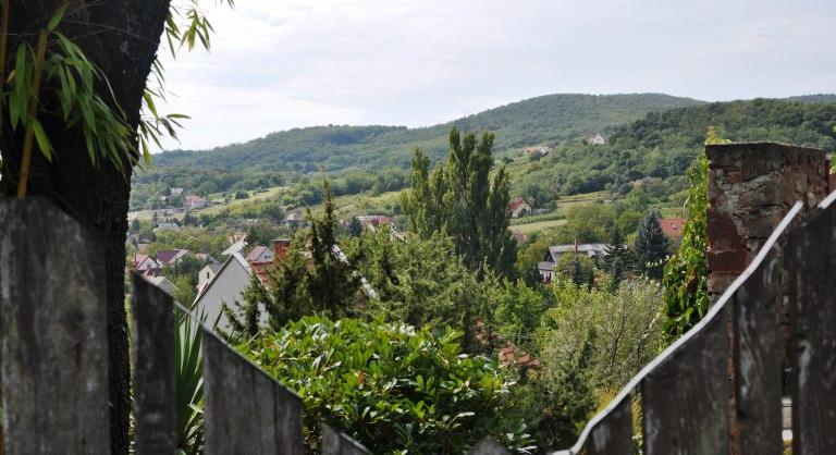 Mesefák, szőrdilemma, gasztromigráció a Balatonnál