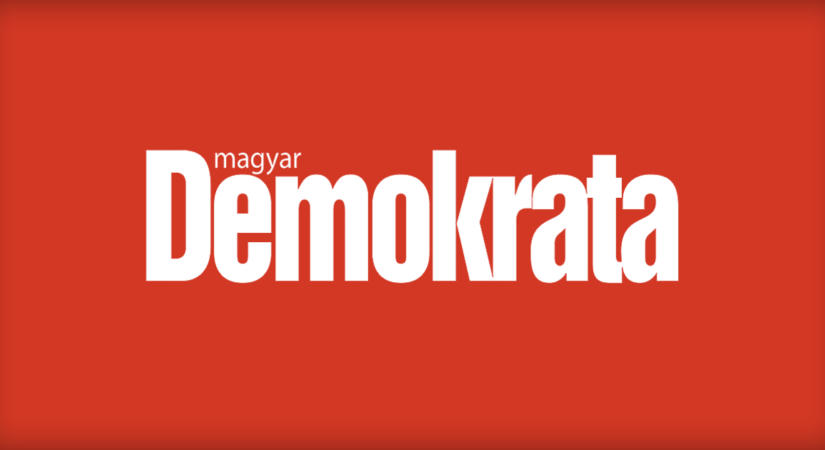 Drága katyvasz – Vitézy Dávid
